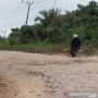 Bertahun-tahun Mangkrak, Jalan Trans Kalimantan di Sepaku Bakal Diperbaiki