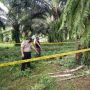 Dekat Bangkai Tikus, Warga Cilandak Temukan Bayi Terbungkus Plastik Sampah