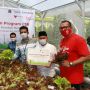 Bank DKI Ajak Warga Rusun Kembangkan Usaha Hidroponik