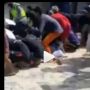 Jiwa Maling! Warga Menjarah Pakan Ternak dari Truk Terguling