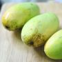 Mangga Food Estate Diyakini Mampu Bersaing di Pasar Timteng dan Eropa