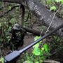 Indonesia Kirim Ratusan Tentara ke Perbatasan Kalimantan Barat dan Malaysia