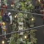 Pameran Tanaman Hias di Dalam mal