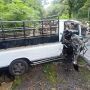 Adu Banteng di Hutan Bunder, Satu Orang Meninggal Dunia
