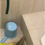 Bikin Parno! Viral Biawak Muncul di Lubang WC saat Musim Hujan