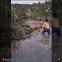 Ngeri! Viral Buaya Diusili Bocah-bocah, Publik: Diusili Balik Mampus