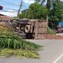 Miris! Bukannya Menolong, Warga Malah Ribut Jarah Lele yang Diangkut Truk Nyungsep