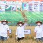 Agro Solution Pupuk Kaltim Tingkatkan Produktivitas Pertanian Banyuwangi