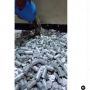 Viral Penampakan Uang Receh Senilai Jutaan Rupiah, Malah Bikin Curiga