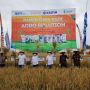 Bakir Pasaman: Pupuk Indonesia Terus Perluas Program Agro-Solution