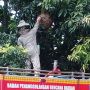 Tangerang Diteror Tawon Vespa, Kemarin Nenek-nenek Tewas Disengat