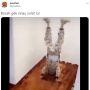 Awalnya Salat, Gaya Sujud Bocah Laki-Laki Ini Bikin Kaget Sekaligus Ngakak