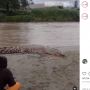 Viral Warga Tonton Buaya Besar dari Dekat, Sampai Ada yang Mau Diterkam