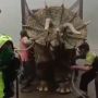 Video Dinosaurus Diturunkan dari Truk Bikin Geger, Ini Fakta di Baliknya