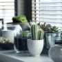 Menurut Feng Shui, Ini 7 Benda yang Tidak Boleh Ada di Kamar Tidur