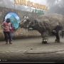 Dinosaurus Viral di Magetan Bikin Heboh, Ternyata Ada Sosok di Baliknya