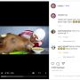 Video Mukbang Pria 'Cokot' Congor Kepala Sapi, Netizen: Itu Ada Upilnya Ga?