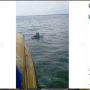 Cerita Dedik Menyeberangi Laut Pakai Galon, Mau Pulang ke Malang