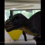 Setelah Viral Naik Truk di Magetan, Kini Muncul T-Rex Lepas di Mall
