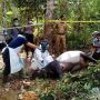 Sempat Viral, Penyebab Kematian Tapir di Kuansing Akhirnya Terungkap