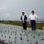 Pengerjaan Food Estate di Sumatera Utara Selesai Akhir Tahun Ini