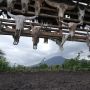 Taman Nasional Baluran Situbondo Kembali Ditutup