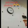 Viral Netizen Lupa Tutup Wadah Saat Mau Masak Tutut, Endingnya Bikin Ngakak