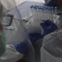 Keputusan Wajib Rapid Test Antigen Buat Dunia Pariwisata Terguncang
