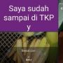 Undang Gelak Tawa, Deretan Status WhatsApp Tukang Sayur Ini Viral