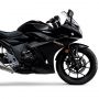 Suzuki GSX-250R Model 2021 Tampil Seru dalam Warna Baru