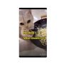 Bikin Pemiliknya Bingung, Induk Kucing Ini Kerap Taruh Anaknya di Wajan