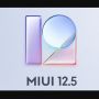 MIUI 12.5 Meluncur, Cek Daftar Ponsel Xiaomi dan Fitur Barunya