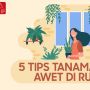 Videografis: 5 Tips Agar Tanaman Hias Awet di Rumah