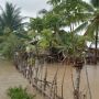 Awal Tahun 2021, Aceh Timur Kembali Dikepung Banjir