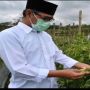 Bupati Temanggung Pastikan Cabai dari Wilayahnya Aman Dikonsumsi