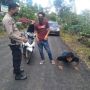 Awas Modus Baru Begal, Nyamar Jadi Satgas COVID-19 Incar Pengendara yang Tak Pakai Masker