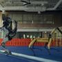Saat Robot Anjing Berdansa Meniru Gerakan Manusia