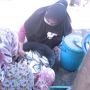 Ngeri! Ikan, Kerang dan Udang di Pesisir Utara Jatim Tercemar Mikroplastik