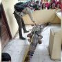 Tersesat Masuk Parit, Buaya 3 Meter di Siak Ditangkap Warga