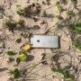 Gahar! Jatuh Dari Pesawat, iPhone Milik Pria Ini Masih Bisa Digunakan