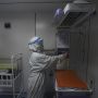 Pandemi COVID-19 Belum Beres, Virus Nipah Ancam Asia, Termasuk Indonesia?