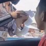 Ditilang karena Tak Bawa SIM, Pemobil Ini Malah Modus, Bikin Ngakak