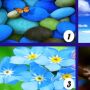 Tes Kepribadian: Warna Biru Mana yang Menggambarkan Dirimu?