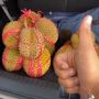 Pria Beli 9 Durian Cuma Rp 50 Ribu, Alamak Isinya Ternyata Bikin Syok