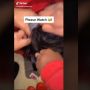 Geli Banget! Heboh Video Marmut Lepas, Ternyata Masuk ke Dalam Wig Ini