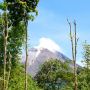 Intensitas Guguran Lava Gunung Merapi Menurun, Sepekan Hanya 7 Kali