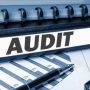 Audit Manajemen SDM dalam Perusahaan Guna Pelancaran Program