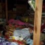 Warga Majene Mengungsi dan Tidur di Kandang Ayam, Takut Gempa Susulan