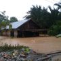 Banjir Kalsel Telan Korban Jiwa, 5 Orang Meninggal di Hulu Sungai Tengah