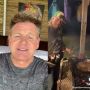 Gordon Ramsay Murka Lihat Koki Masak Steak di TikTok, Kenapa?